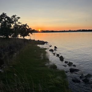 Meet your Posher, Mollie